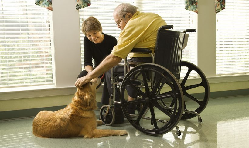 Tips for Owning a Dog in Assisted Living Tips for Owning a Dog in Assisted Living
