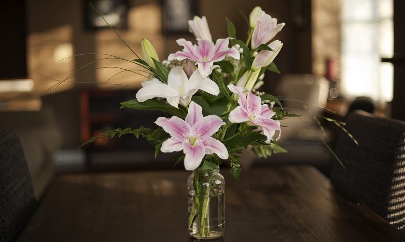 Harmony Adds Home Staging To Our Lineup Of Services Harmony Adds Home Staging To Our Lineup Of Services